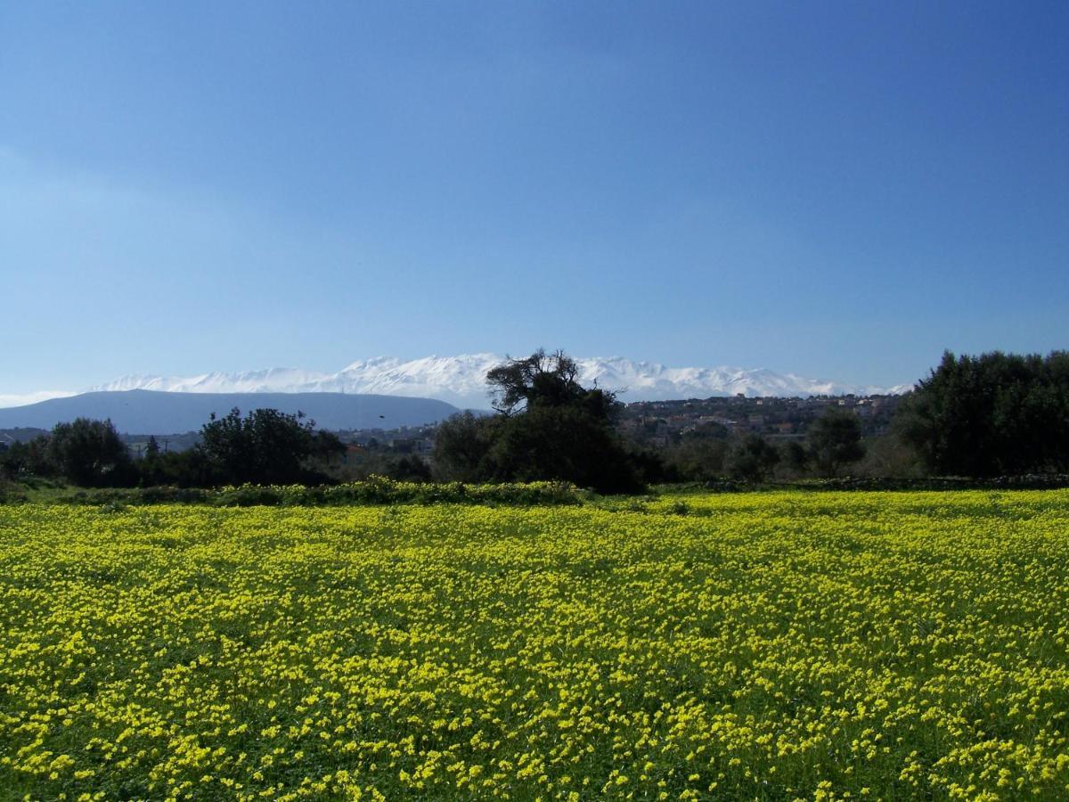 Manolo S Olive Farm, Apartment With Seaview Ханя Екстериор снимка