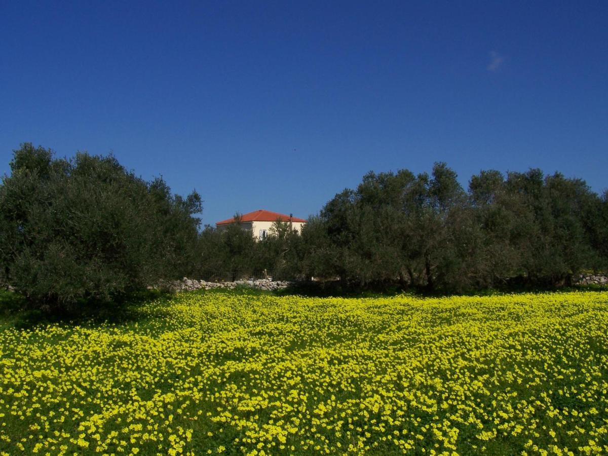 Manolo S Olive Farm, Apartment With Seaview Ханя Екстериор снимка