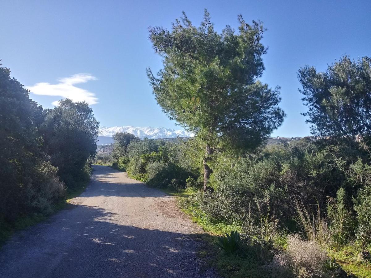 Manolo S Olive Farm, Apartment With Seaview Ханя Екстериор снимка