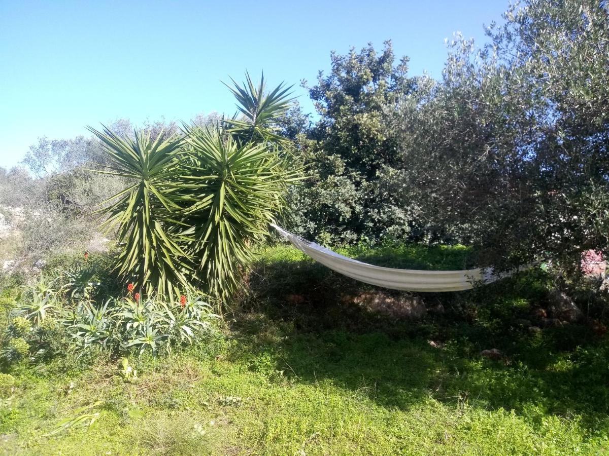 Manolo S Olive Farm, Apartment With Seaview Ханя Екстериор снимка