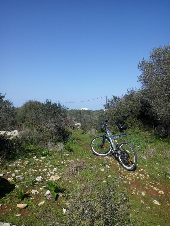 Manolo S Olive Farm, Apartment With Seaview Ханя Екстериор снимка