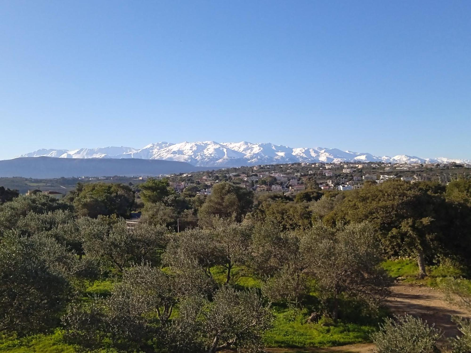 Manolo S Olive Farm, Apartment With Seaview Ханя Екстериор снимка
